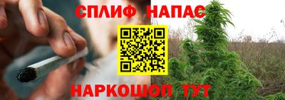 a pvp Будённовск