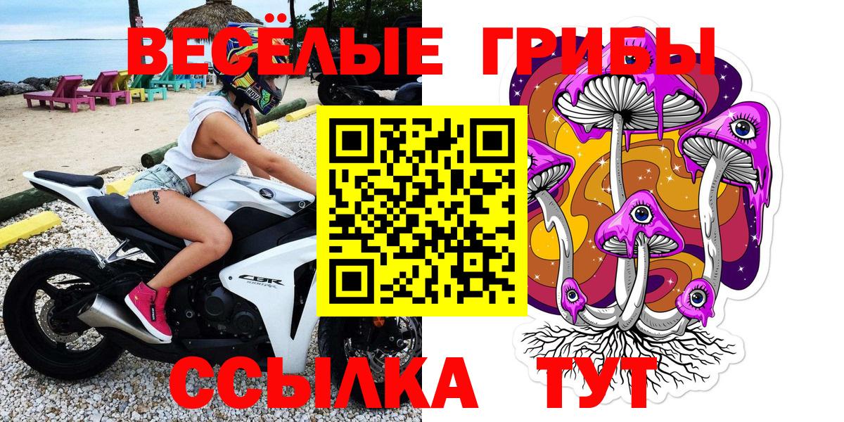 Саяногорск  Галлюциногенные грибы Cubensis  Вход с VPN 